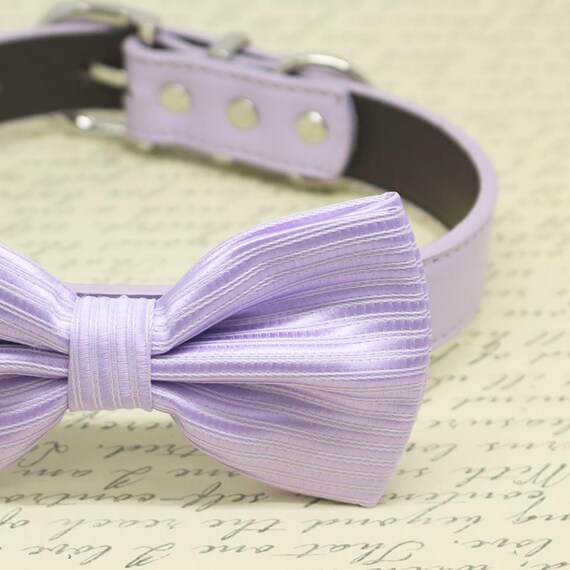 purple dog bow tie