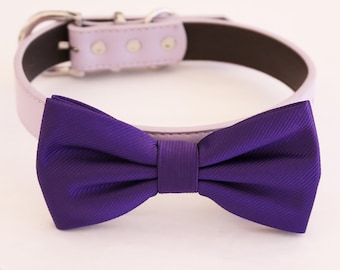 Purple  bow tie collar Dog lover dog ring bearer XS to XXL collar and bow tie, adjustable Puppy bow tie handmade boy dog collar