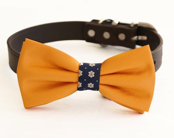 Burnt orange bow tie collar XS to XXL collar and bow tie, adjustable, Puppy bow tie, handmade, Dog lover ring bearer, rust orange