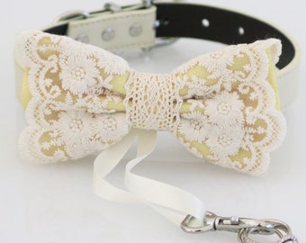 Mellow yellow bow tie collar, proposal Dog ring bearer adjustable M XXL collar, lace county rustic elegance spring wedding dog collar