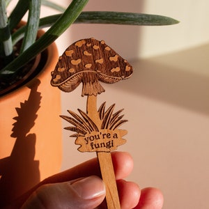 You're A Fungi Mushroom Wood Plant Pick Valentine's Day, Gift for Him, Plant Dad, Gift for Husband, Plant Lovers, Boyfriend, Housewarming image 1