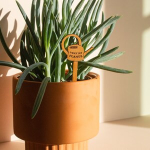 I Wet My Plants Watering Can Wood Plant Pick Encouraging, Uplifting, Houseplant Gifts for Her, Plant Lovers, Birthday image 3
