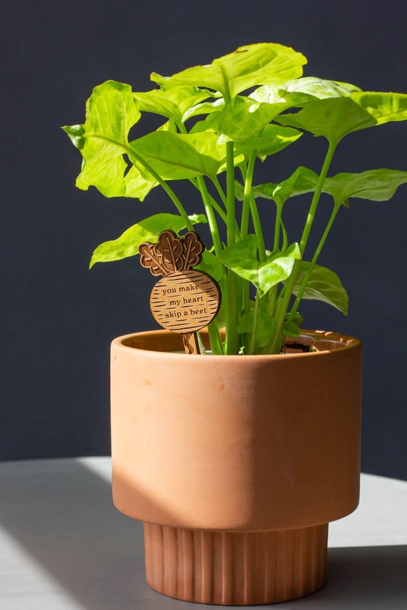 You Make My Heart Skip A Beet Wood Plant Pick [housewarming Gift
