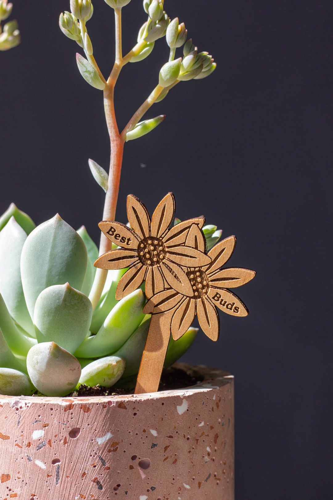 Best Buds Flowers Wood Plant Pick encouraging, Uplifting, Houseplant