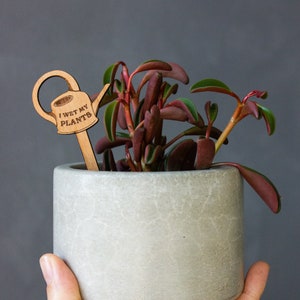 I Wet My Plants Watering Can Wood Plant Pick Encouraging, Uplifting, Houseplant Gifts for Her, Plant Lovers, Birthday image 5