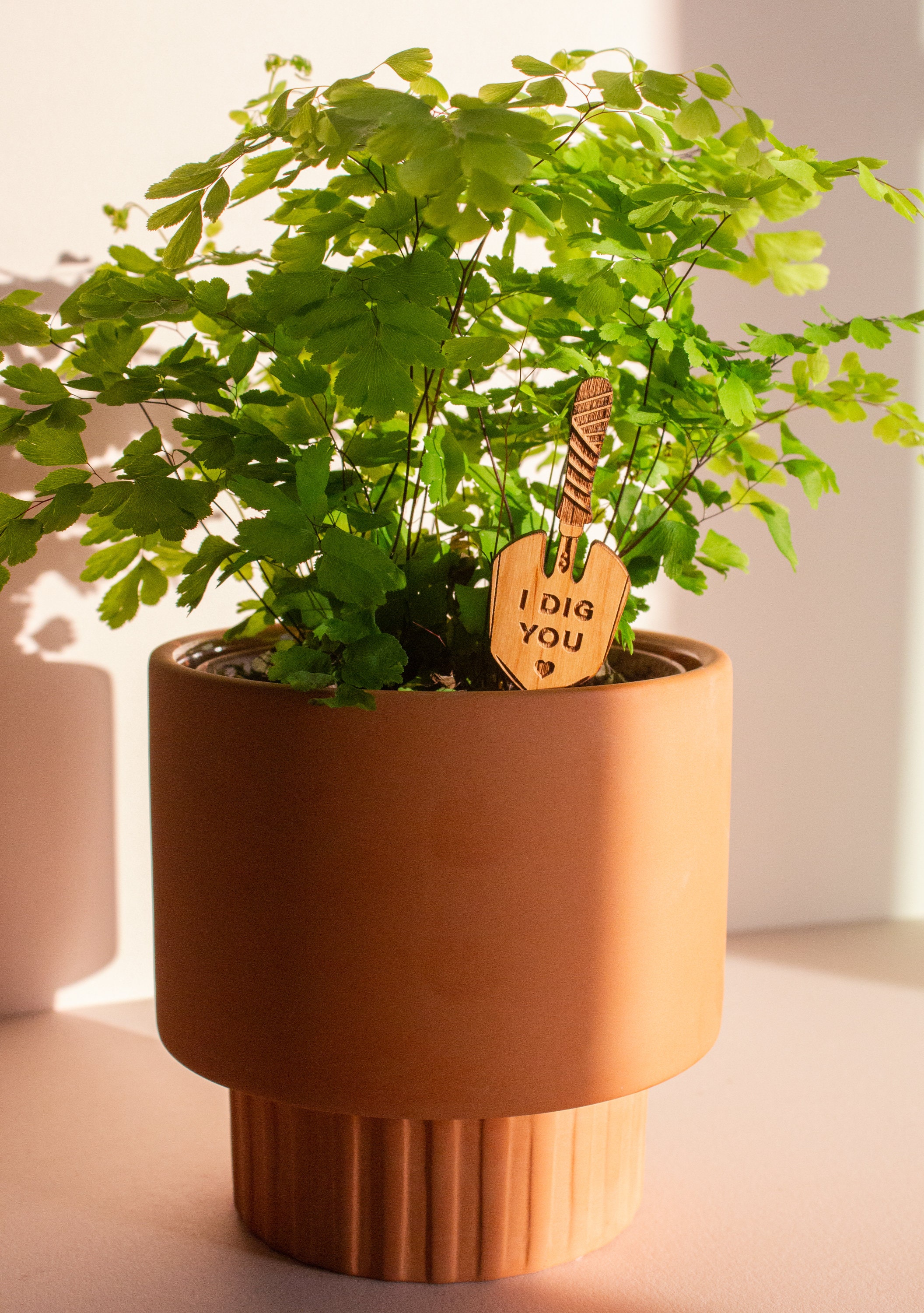 I Dig You Hand Trowel Wood Plant Pick [Valentine&#39;s Day Gift, Gift for Boyfriend, Houseplant Gifts for Her, Plant Lovers, Girlfriend Gift]