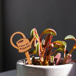 I Wet My Plants Watering Can Wood Plant Pick Encouraging, Uplifting, Houseplant Gifts for Her, Plant Lovers, Birthday image 4