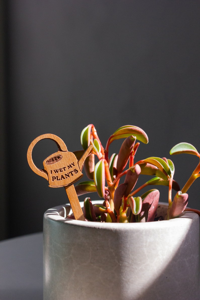 I Wet My Plants Watering Can Wood Plant Pick Encouraging, Uplifting, Houseplant Gifts for Her, Plant Lovers, Birthday image 4