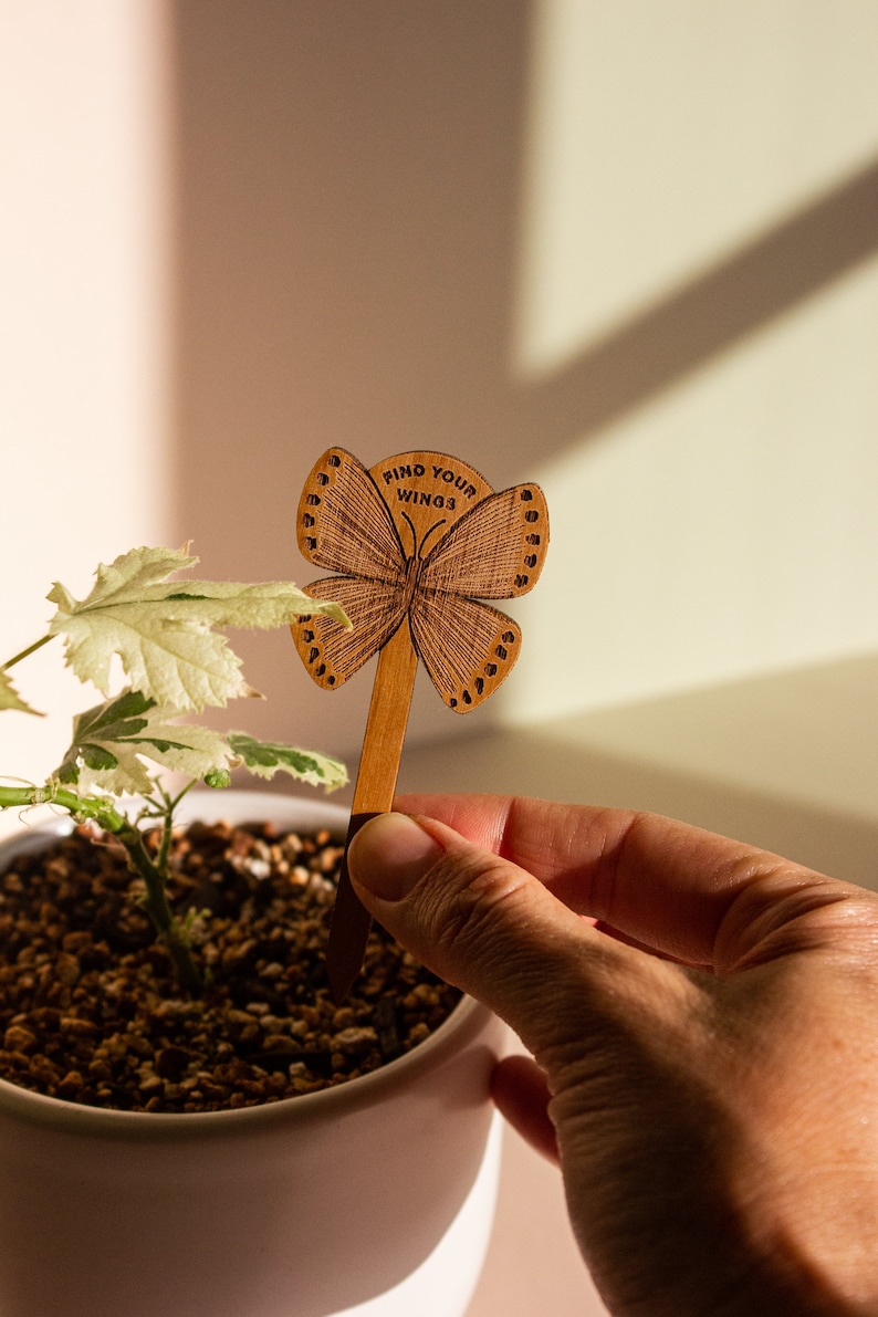 May include: A wooden butterfly plant marker with the text "Find Your Wings" in brown lettering. The marker is being held in a hand over a potted plant with green and white leaves.