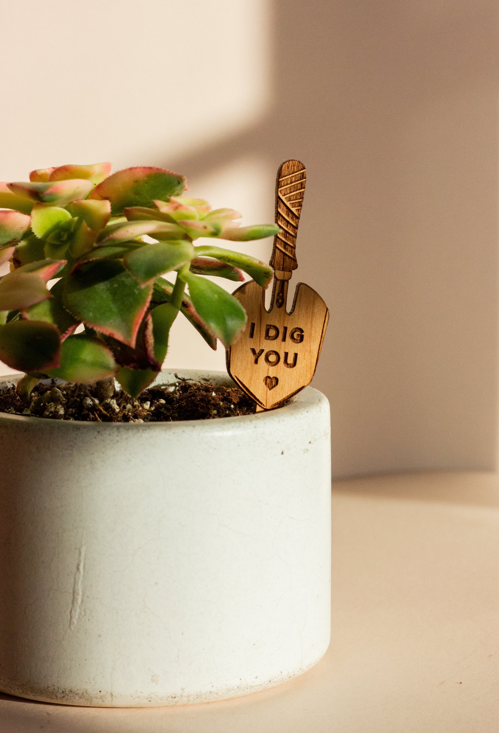 I Dig You Hand Trowel Wood Plant Pick [Valentine&#39;s Day Gift, Gift for Boyfriend, Houseplant Gifts for Her, Plant Lovers, Girlfriend Gift]