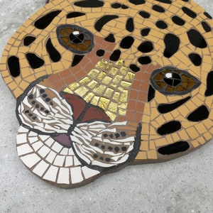 Mosaic Leopard wall plaque, made to order, jungle, big cats, gift idea, spotted leopard cat, safari, leopard head, face, wall decor, hanging image 4