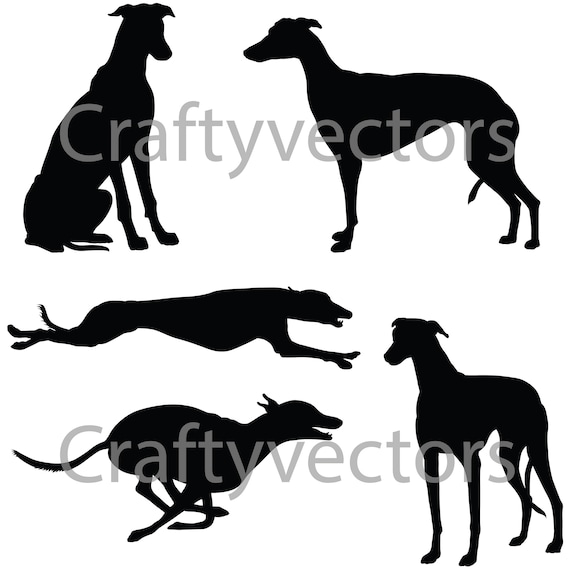 Download Greyhound Dog Silhouettes Vector Svg Etsy