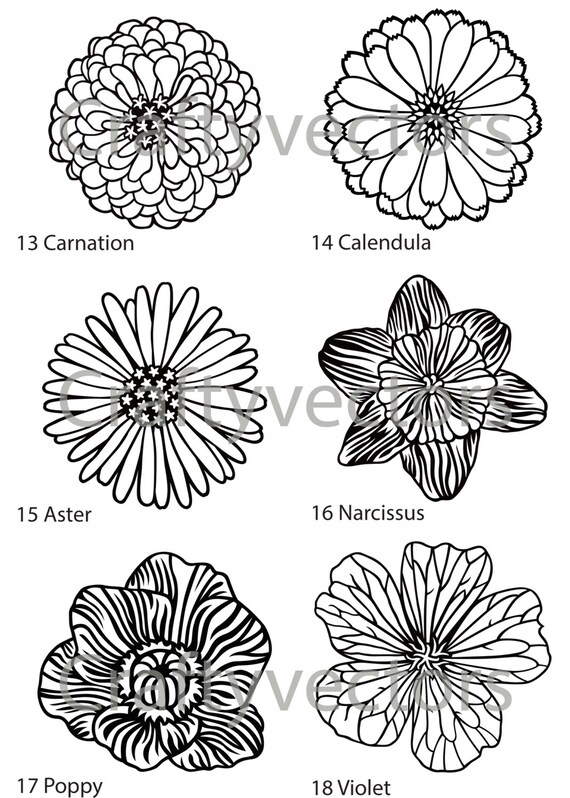 Download Flower Vector Designs 3 Svg Etsy