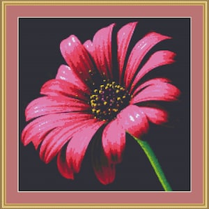 Daisy Pollen Flower Cross Stitch Pattern