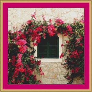 Closed Window With Bougainvillea Cross Stitch Pattern