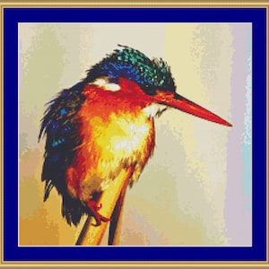 Puede incluir: Un pájaro colorido con plumas azules, verdes, naranjas y rojas. El pájaro está posado en una rama con la cabeza inclinada hacia un lado.