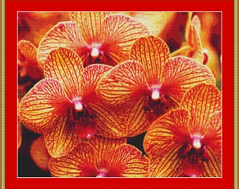 Yellow Red Orchids Cross Stitch Pattern