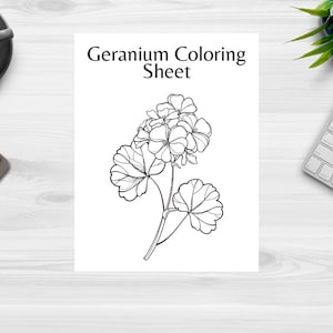 Geranium Coloring Sheet: Essential Oil Education (Digital Download)
