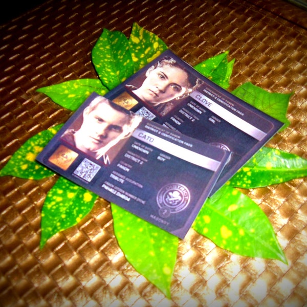 Hunger Games ID cards, District 2, Tributes Cato and Clove.