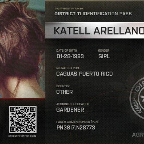 Hunger Games Custom ID.