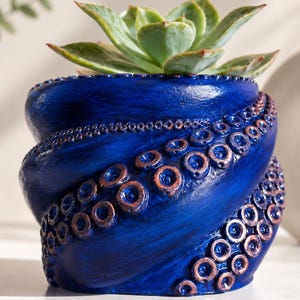Può includere: Un vaso cilindrico blu intenso caratterizzato da un design testurizzato a spirale a forma di tentacolo di polpo con ventose in rilievo color rame. Una pianta succulenta verde è piantata all'interno del contenitore, che ha una finitura liscia e lucida.