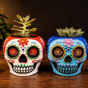 May include: Two skull-shaped planters, one white with red accents and one light blue, each featuring colorful floral patterns around the eye sockets and forehead, with a green succulent plant growing out of the top of each skull container.