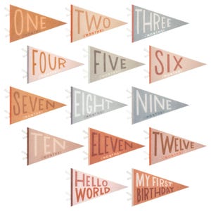 May include: A collection of triangular pennant flags in various colors, each displaying a number from one to twelve, along with the words "months" and phrases "Hello World" and "My First Birthday". The flags are designed with a vintage aesthetic.