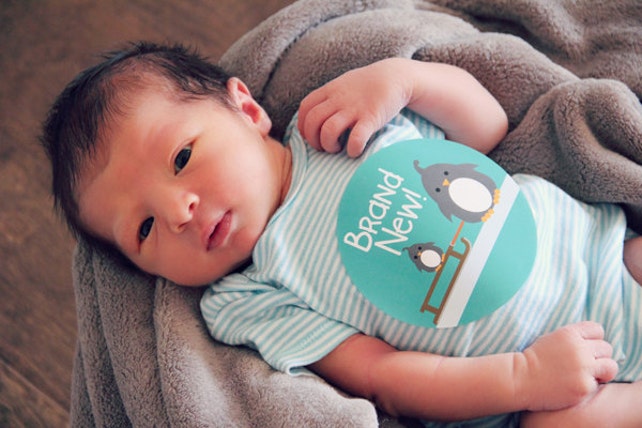 newborn baby monthly bodysuit sticker just born baby girl etsy