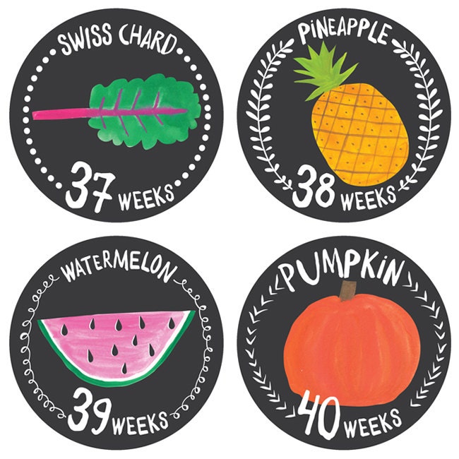 Pregnancy Stickers- Growing Garden- Belly Bump Stickers- Weekly Pregn…