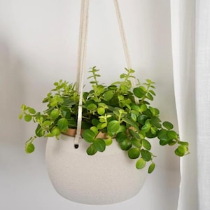 Puede incluir: Una maceta colgante de cerámica redonda en color blanco roto con un acabado texturizado y moteado. La maceta contiene una planta colgante de color verde vibrante con hojas pequeñas y redondeadas. Se sujeta mediante dos cuerdas de algodón.