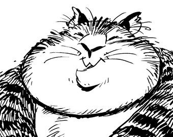 Chubby Kitty