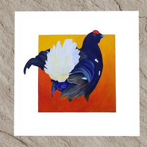 Blackcock grouse, Scottish bird giclee prints and posters from a contemporary modern painting