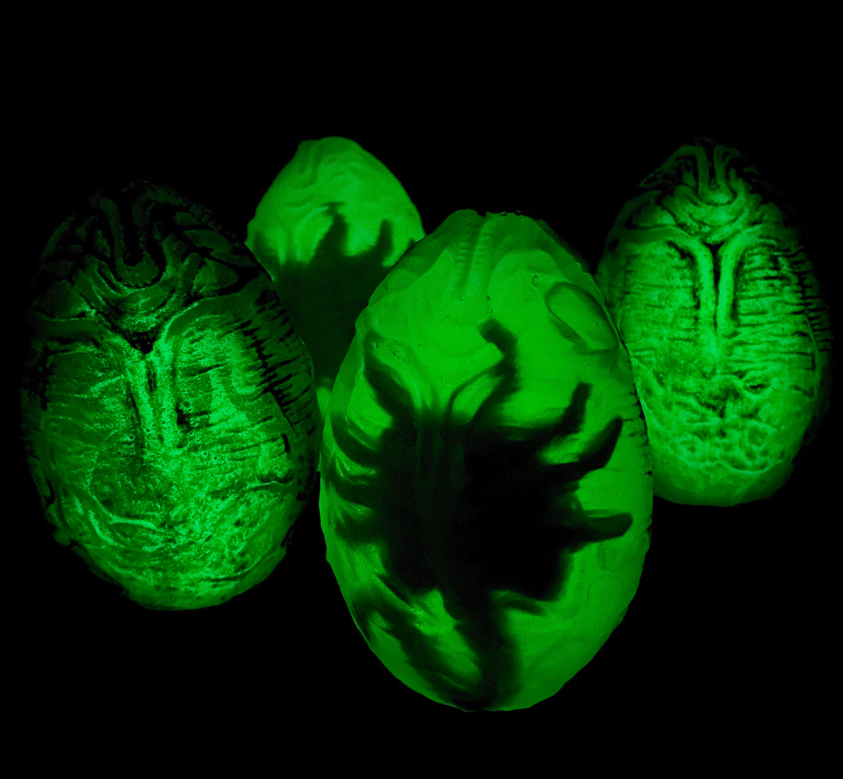 Alien Facehugger Egg