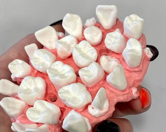 Human Teeth Halloween Soap Saver Dish Oddity Oddities