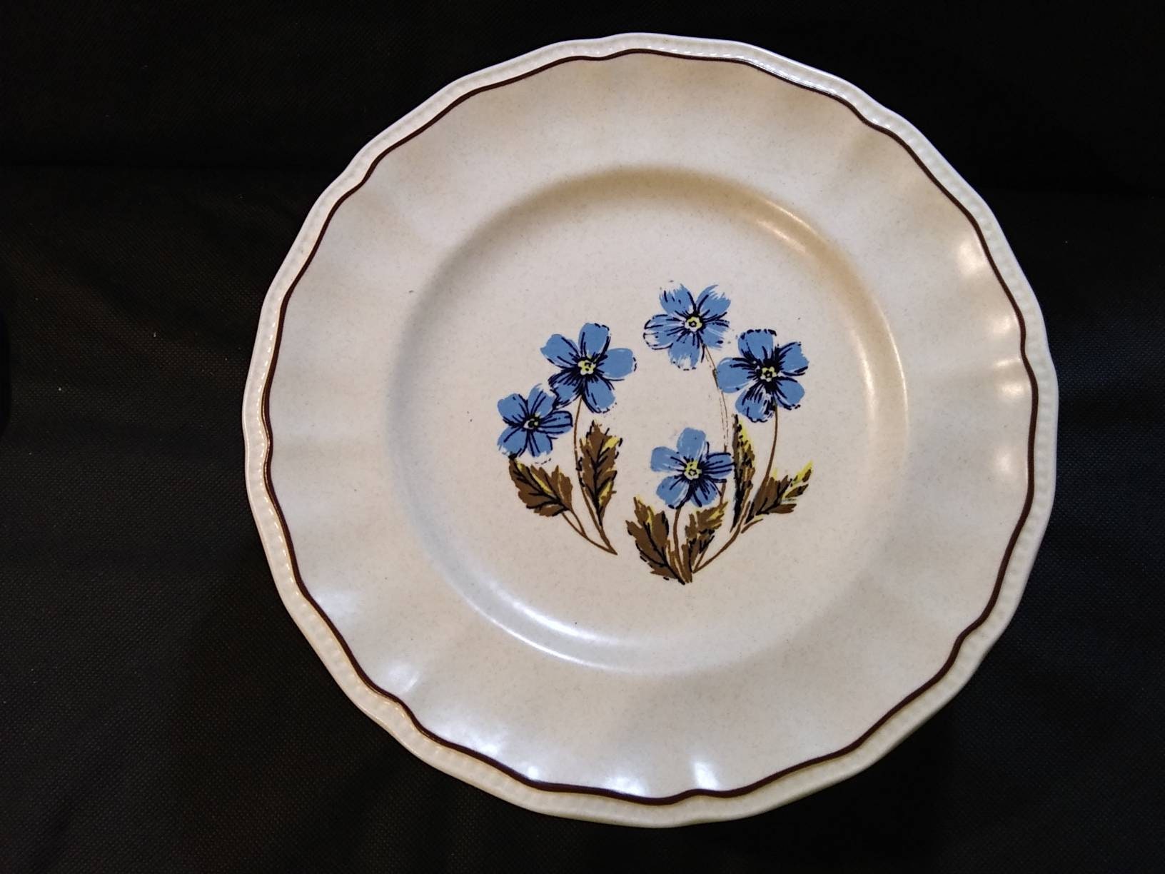 KENSINGTON STAFFORDSHIRE IRONSTONE Dinner Plate 