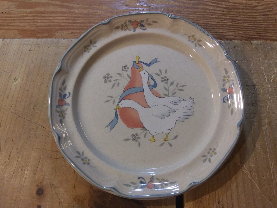 INTERNATIONAL CHINA marmalade Collection Stoneware Salad Plate With