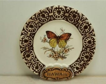 Könnte beinhalten: Dekorative Platte mit braunem und weißem floralem Rand. Die Mitte zeigt einen Schmetterling mit orangefarbenen und gelben Flügeln, der auf einem floralen Zweig sitzt. Der Sockel trägt das Wort "HAWAII" in einem braunen, geschwungenen Banner.
