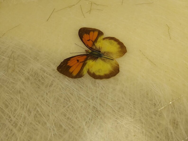 FIBERGLASS SERVING TRAY with Inlaid Butterflies and Shiny Tinsel Strands by Sterling Craftsmen of Michigan 1950s 1960s Great Condition!!! image 3