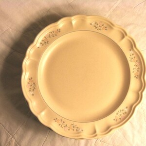 PFALTZGRAFF &quot;REMEMBRANCE&quot; Collection DINNER Plate in Great Condition!