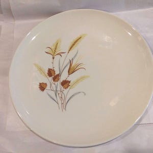 TST &quot;AUTUMN HARVEST&quot; Dinner Plate Ever Yours Series Taylor Smith Taylor Vintage 1950s 1960s in Great Condition!