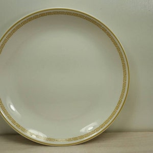 HOMER LAUGHLIN PLATE White with Gold Band Dinner Plate in Great Vintage Condition!