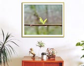 Ethereal Art, Sun Reflection in Dew Drop, Nature Photography, Morning Sun Art, Rain Art, Green Print, Brown