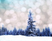 Enchanted Forest, Winter Art, Forest Photography, Snow, Winter Wall Art, Blue, Magical Photo, Christmas Decor