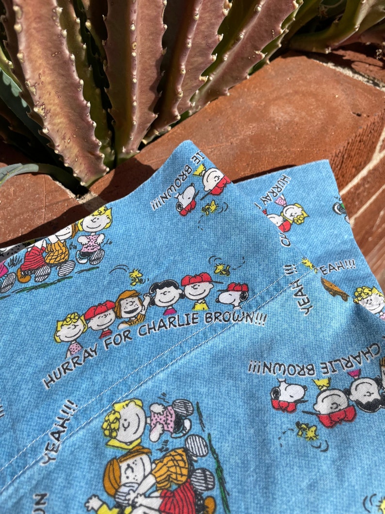 Vintage Peanuts Gang Pillowcases Charlie Brown Snoopy Pillowcase Pair Hooray for Charlie Brown