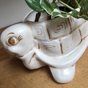 Puede incluir: Maceta de cer&aacute;mica blanca en forma de tortuga con detalles pintados en marr&oacute;n. La maceta tiene forma de tortuga con un caparaz&oacute;n elevado y una cara detallada. Una planta verde est&aacute; creciendo dentro de la maceta.