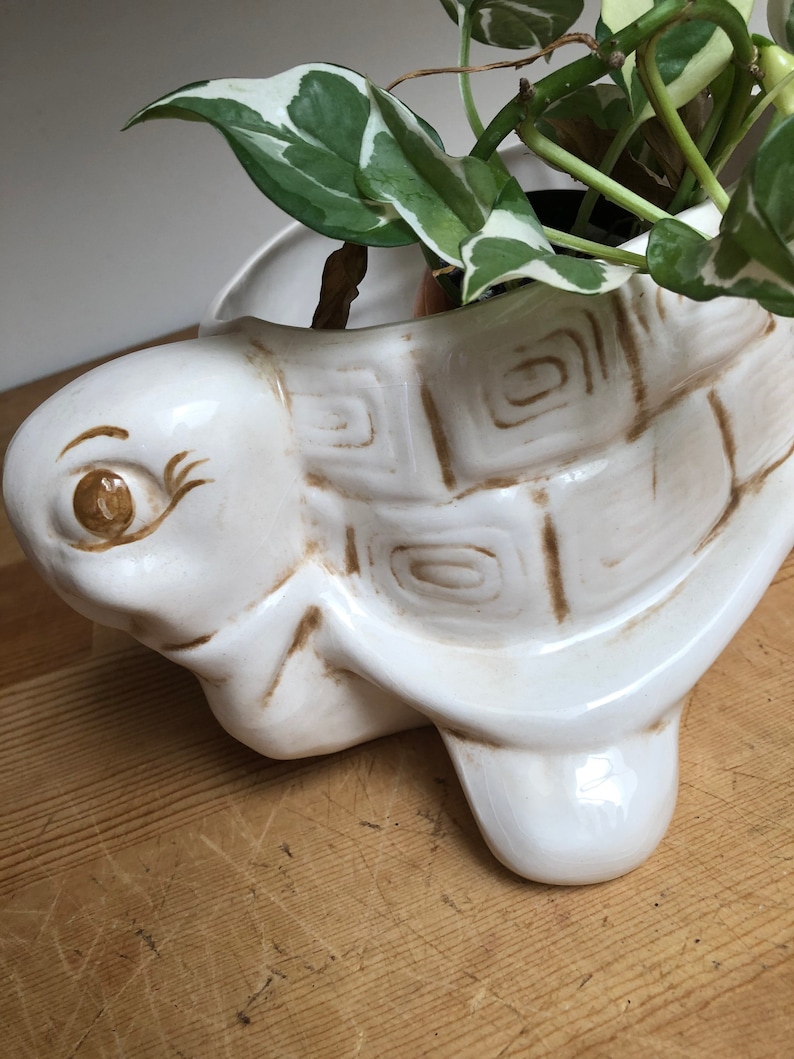 Puede incluir: Maceta de cer&aacute;mica blanca en forma de tortuga con detalles pintados en marr&oacute;n. La maceta tiene forma de tortuga con un caparaz&oacute;n elevado y una cara detallada. Una planta verde est&aacute; creciendo dentro de la maceta.
