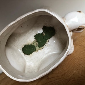 Puede incluir: Maceta de cer&aacute;mica blanca en forma de tortuga con un esmalte agrietado y una mancha verde en el interior. La cabeza de la tortuga est&aacute; levantada y sus ojos est&aacute;n pintados de marr&oacute;n.