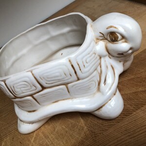 Puede incluir: Maceta de cer&aacute;mica blanca en forma de tortuga con detalles marrones. La tortuga tiene un caparaz&oacute;n con un patr&oacute;n geom&eacute;trico y una cabeza grande con la boca cerrada y un solo ojo.