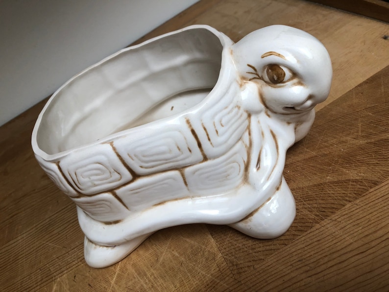 Puede incluir: Maceta de cer&aacute;mica blanca en forma de tortuga con detalles marrones. La tortuga tiene un caparaz&oacute;n con un patr&oacute;n geom&eacute;trico y una cabeza grande con la boca cerrada y un solo ojo.