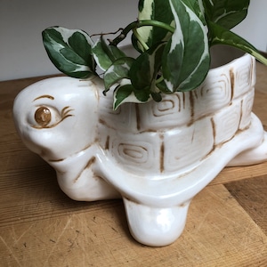 Puede incluir: Maceta de cer&aacute;mica blanca en forma de tortuga con detalles marrones, con una planta verde con hojas blancas.